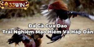 Ảnh đại diện - Đá gà cựa dao