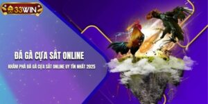 Ảnh đại diện - Đá gà cựa sắt