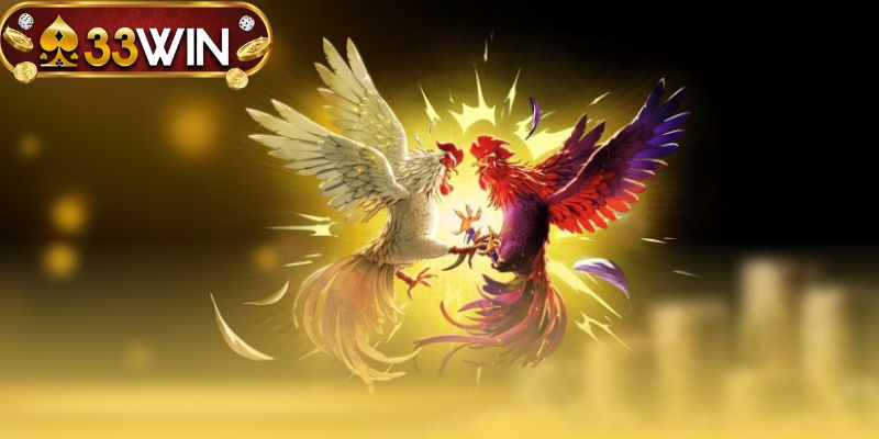 Mẹo đặt cược các thành viên cao thủ chia sẻ