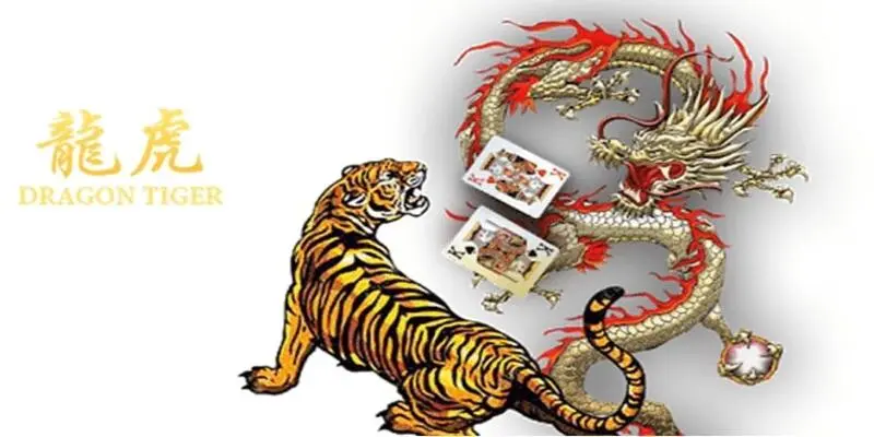 Game Rồng hổ - tựa game cá cược hấp dẫn hàng đầu